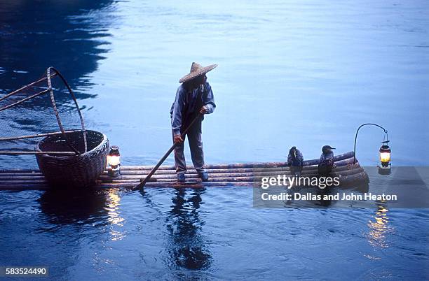 china, guilin, li, river, cormorant fishing at sunset - kormoran stock-fotos und bilder
