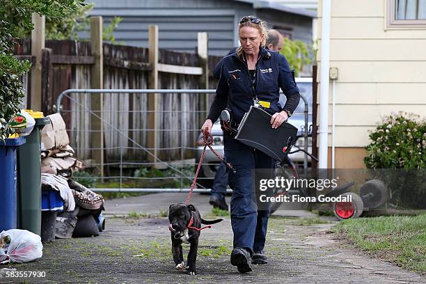 Animal Management Officer Kirsten impounds an unregistered dog in Ranui which was released after the owner paid the registration fee on July 27, 2016...