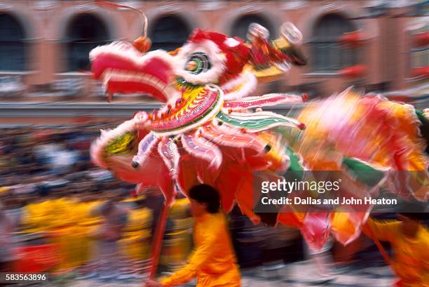 chinese dragon dancing on new year's eve, macau, china - dragon dance stock-fotos und bilder