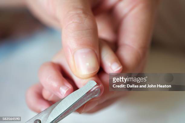 Eurasian Baby Boy Mum Cutting Fingernail High-Res Stock Photo - Getty Images