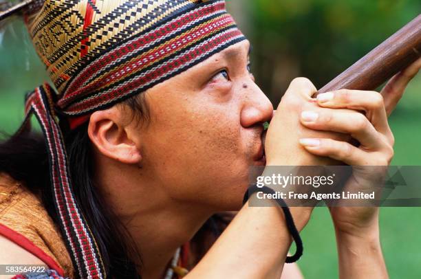 penang village warrior using blowgun - kuching stock pictures, royalty-free photos & images