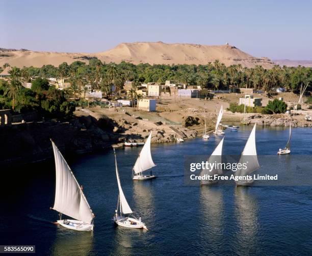 feluccas at aswan - felucca stockfoto's en -beelden