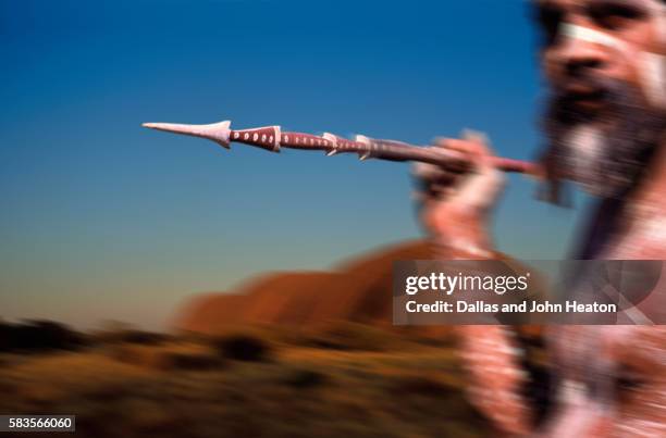 australia, northern territory, uluru-kata tjuta national park, aborigine throwing spear - uluru people stock pictures, royalty-free photos & images