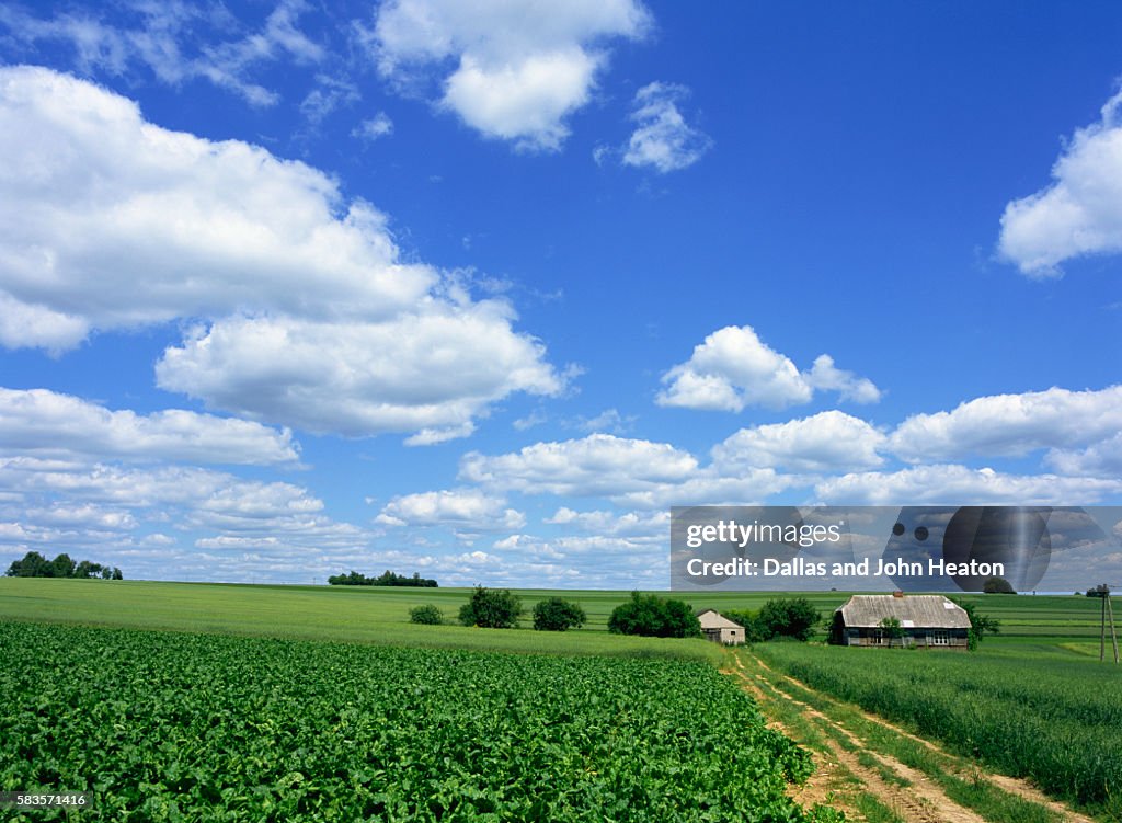 Countryside, Krakow District Poland