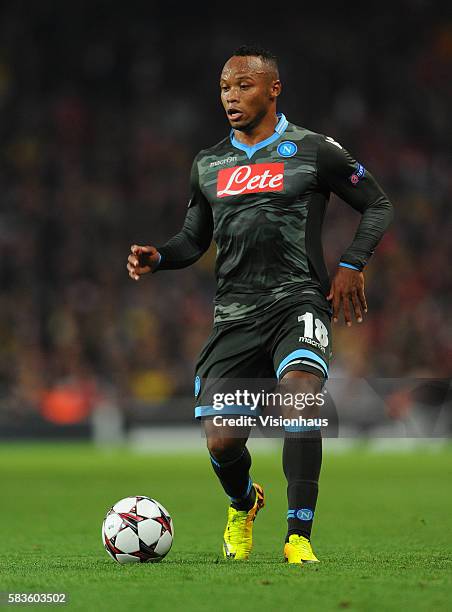 Camilo Zuniga of Napoli during the UEFA Champions League Group F match between Arsenal and SSC Napoli at the Emirates Stadium in London, UK. Photo:...