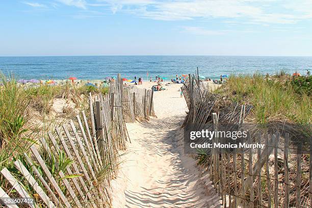 beach entrance on the dunes - ハンプトン ストックフォトと画像