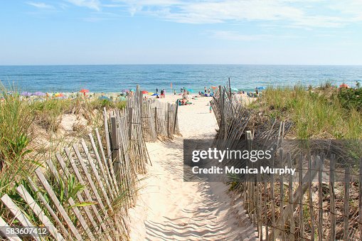 Beach entrance on the dunes