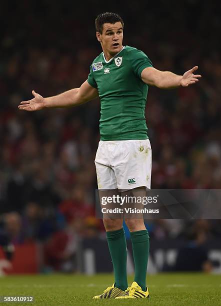 Jonny Sexton of Ireland during the Rugby World Cup pool D group match between Ireland and Canada at the Millennium Stadium in Cardiff, Wales, UK....