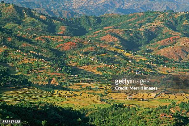 terraced rice fields in kathmandu valley - kathmandu tal stock-fotos und bilder
