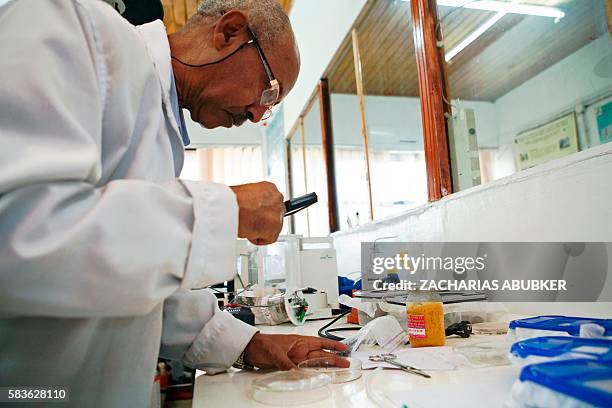 Medical entomologist and vector biologist at the department of Zoological Sciences of Addis Ababa University Dr Habte Tekie examines a specimen at...