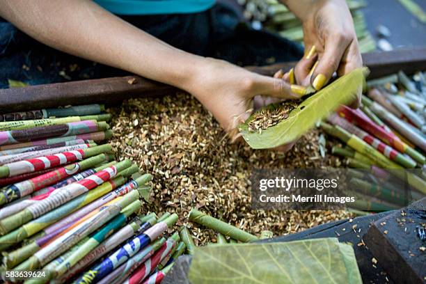 cheroot factory in bago, myanmar - cheroot stock-fotos und bilder