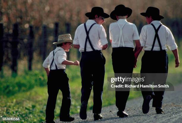 amish boys - amish stock pictures, royalty-free photos & images