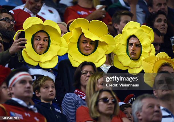 Welsh fans wear traditional daffodils the Rugby World Cup pool A group match between Wales and Uruguay at the Millennium Stadium in Cardiff, Wales,...