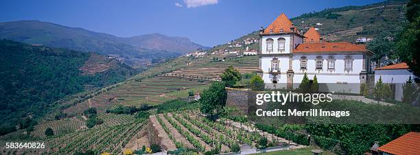 casa das torres de oliveira and vineyards - mesao frio stock pictures, royalty-free photos & images