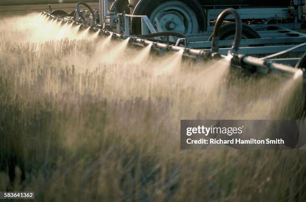 detail of nozzles spraying herbicide on field - herbicide spraying stock pictures, royalty-free photos & images