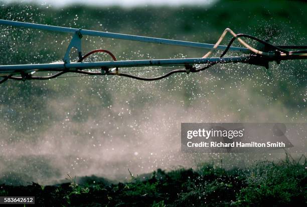 detail of spraying manure fertilizer on field - fertiliser stock pictures, royalty-free photos & images