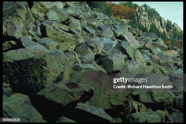 Gneiss Rocks Cover Hillside, Stockfoto