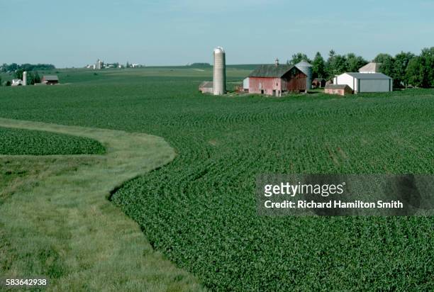 cornfields and farm - iowa farm stock pictures, royalty-free photos & images