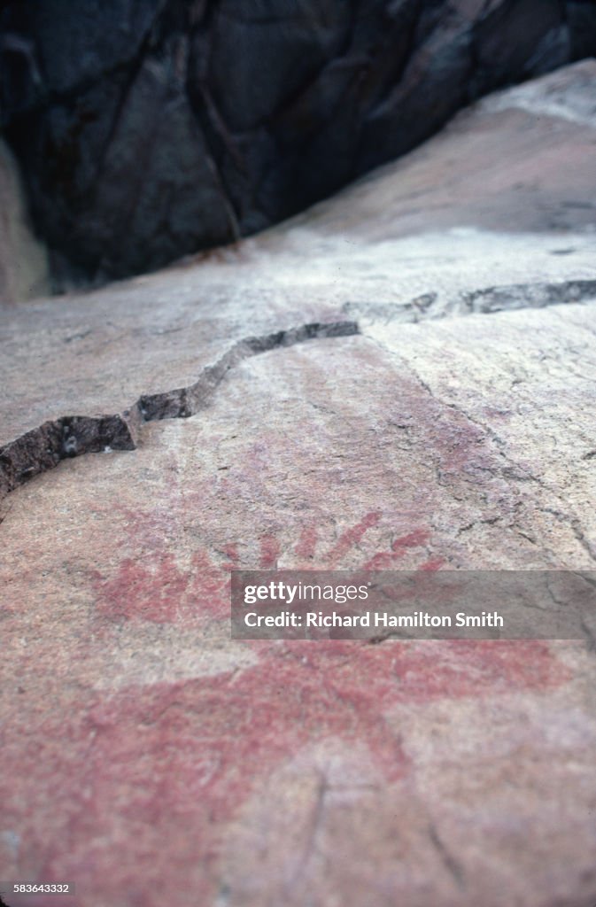 Moose Painting on Cracked Rock