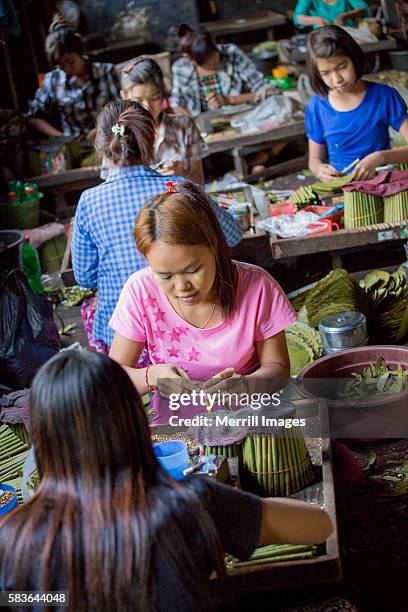 Paper Cheroot 307 Cheroot Stock Photos, High-Res Pictures, and Images - Getty Images