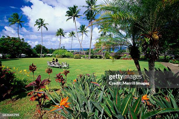 gardens of the hotel hana-maui - hotel hana maui stock pictures, royalty-free photos & images