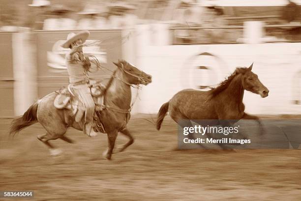 Mexican Ranch Roping 1,367 Mexican Rodeo Stock Photos, High-Res Pictures, and Images - Getty ...