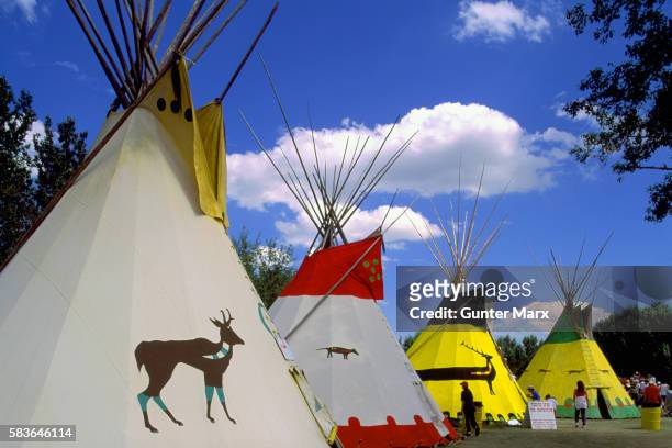 teepees at calgary stampede indian village, calgary, alberta, canada - calgary stampede stock pictures, royalty-free photos & images