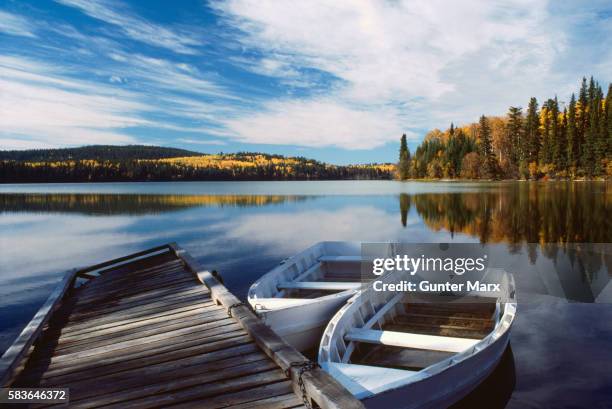 rowboats tied to dock in lake - idyllic lake bildbanksfoton och bilder