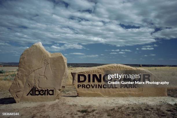 dinosaur provincial park, alberta - dinosaur provincial park stockfoto's en -beelden