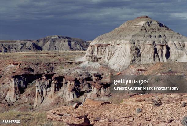 rocky hills in dinosaur provincial park, alberta - dinosaur provincial park stockfoto's en -beelden