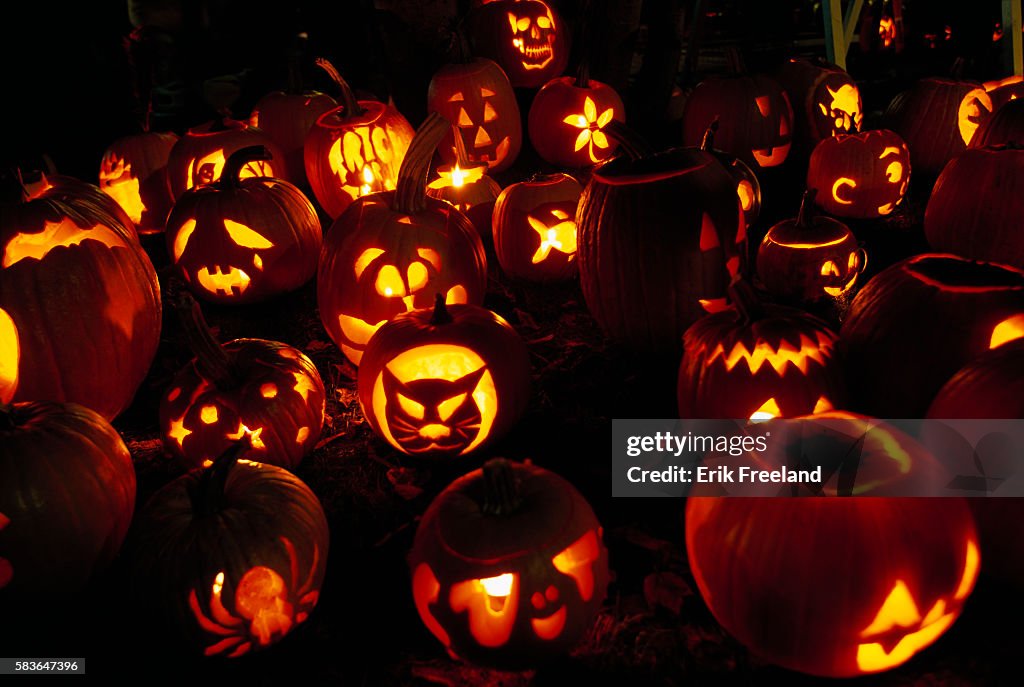 Carved Pumpkins at Festival