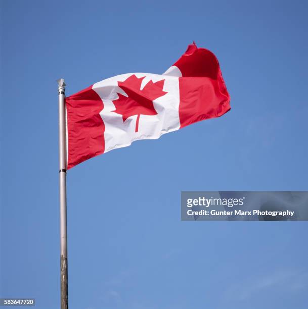canadian flag - bandiera del canada foto e immagini stock