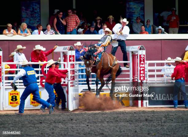 calgary stampede, calgary, alberta, canada - calgary stampede - fotografias e filmes do acervo