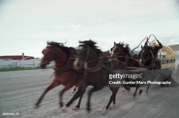 chuck wagon racing - horsedrawn fotografías e imágenes de stock