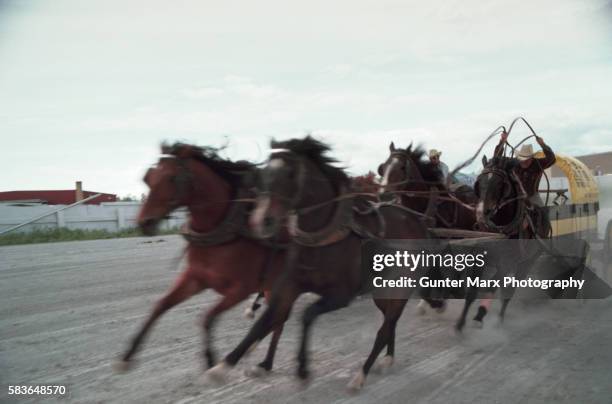 chuck wagon racing - animal powered vehicle ストックフォトと画像