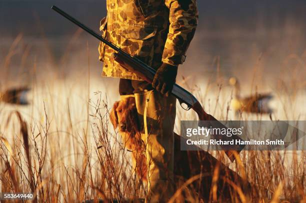 duck hunter - shotgun stock pictures, royalty-free photos & images