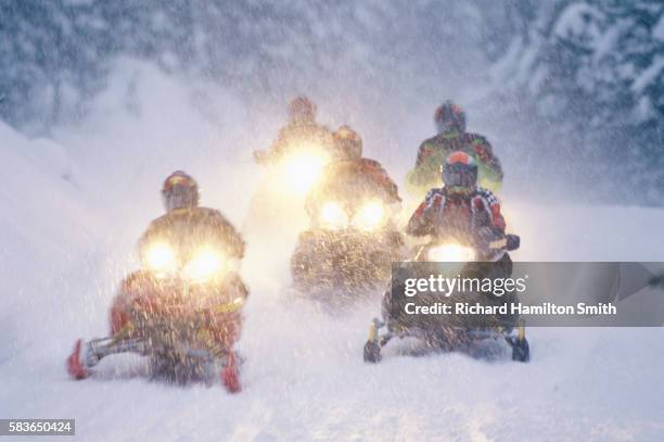 517 Vintage Snowmobile Stock Photos, High-Res Pictures, and Images ...