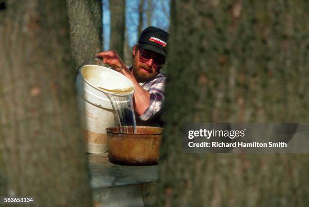 Maple Works Wisconsin Photos and Premium High Res Pictures Getty Images