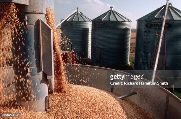 processing corn in corn dryer - silo fotografías e imágenes de stock