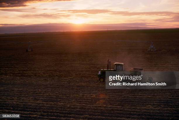 farmer planting idaho potatoes in wide field - american potato farm stockfoto's en -beelden