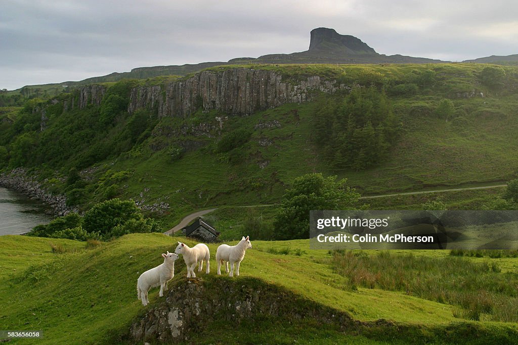 United Kingdom - Scotland - Isle of Eigg