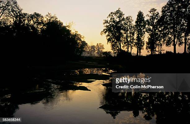 The sun setting in Kanha National Park, part of Project Tiger, in Madhya Pradesh, India. In the 1930s, Kanha area was divided into two sanctuaries,...