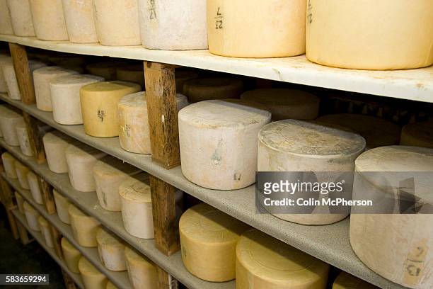 Rows of award-winning Mrs Kirkham's cheeses maturing in a store room at Beesley Farm at Goosnargh in Lancashire, north-west England. Mrs Kirkham's...