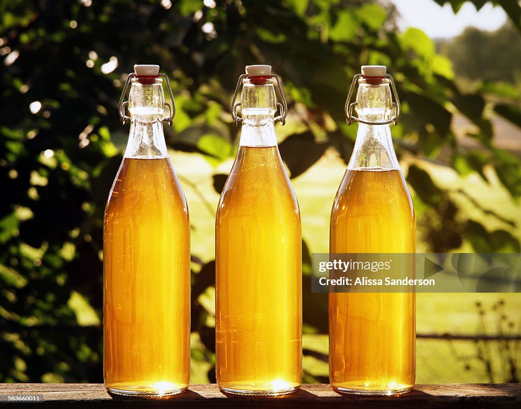 Backlit Bottles of Mead