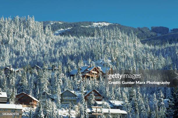 snow covered slopes - whistler village stock pictures, royalty-free photos & images