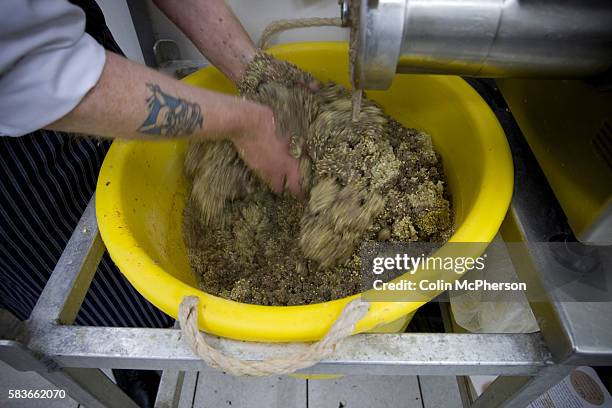 Champion haggis maker John Potter, who relocated from his native Scotland to Merseyside, mixing haggis ingredients at Braveheart Butchers which he...