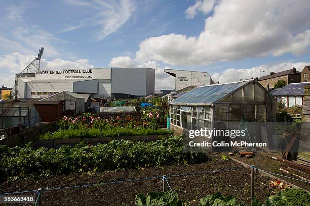 The view over nearby allotments towards the George Fox stand at Tannadice Park, home of Dundee United on the day they played host to Dunfermline...