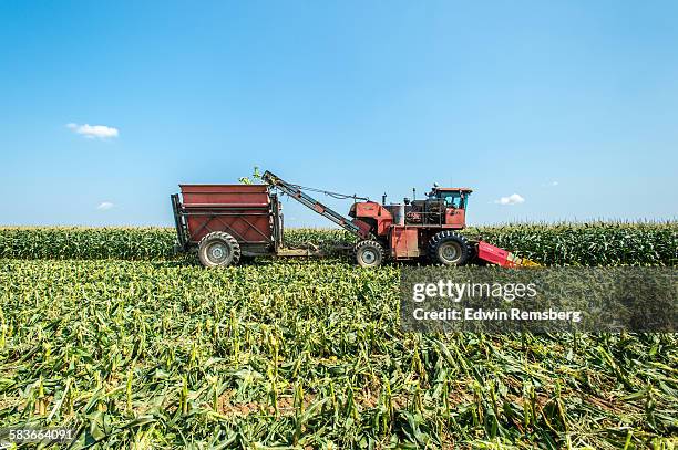 sweet corn harvest - champs tracteur photos et images de collection