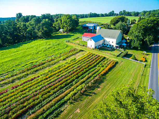 Aerial of farm