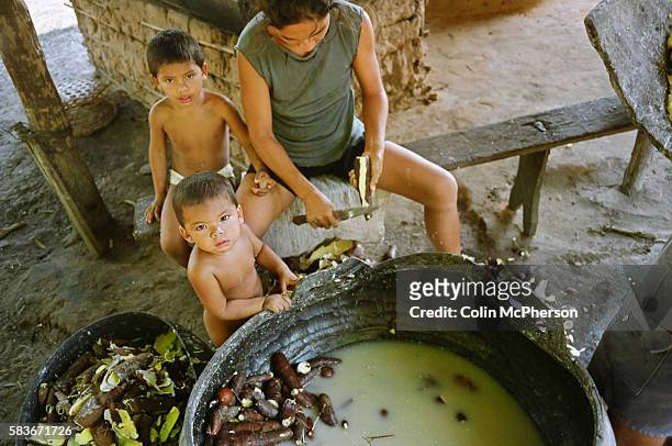 Family living in a village on the banks of the Tapajos river producing farinha, an Amazonian staple used as a food garnish and made from manioc, a...